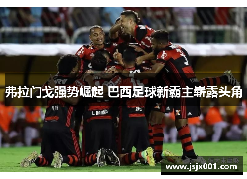 弗拉门戈强势崛起 巴西足球新霸主崭露头角
