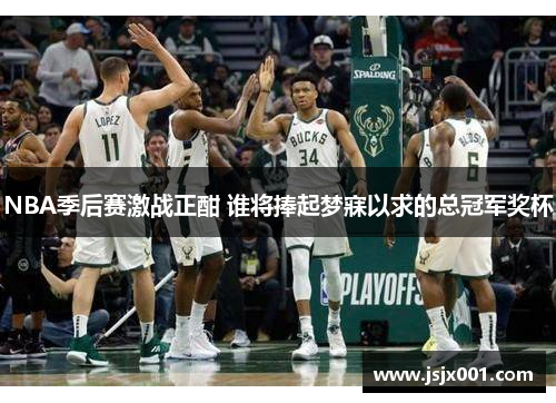 NBA季后赛激战正酣 谁将捧起梦寐以求的总冠军奖杯
